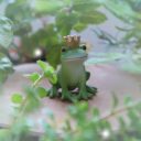 きんのおうかん・ぎんのおうかん入手法まとめ
