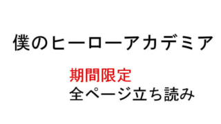 僕のヒーローアカデミア 無料