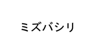 レッツゴーピカチュウ イーブイ ミズバシリ