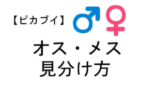 イーブイ オスメス 見分け方