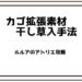 ルルアのアトリエ 攻略 干し草