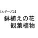 ビルダーズ2 観葉植物 はちうえの花